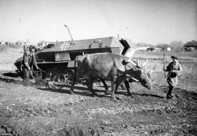 Файл:Оранка в одному з сіл Сумської області. 1943.jpg