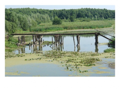 Р. Ташань.jpg