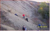 Золотуха.jpg