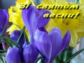 Мініатюра для версії від 10:57, 5 травня 2015