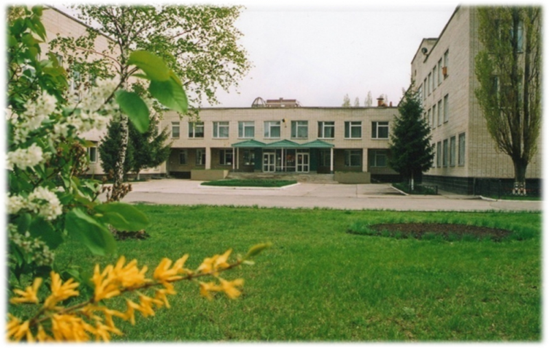 Файл:КУ ССШ №17.png