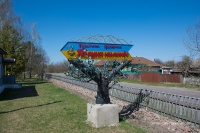 Яблуня 114.jpg