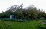 Яблуня 112.jpg