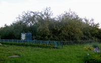 Яблуня 112.jpg