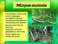 Мініатюра для версії від 15:26, 1 жовтня 2015